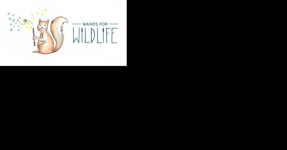 Group collecting mascara wands to save wildlife - Vimarsana News