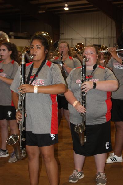 Bands play at fair