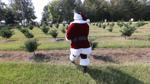 Meet Santa Sarge, Northeast Mississippi's extraordinary Santa Claus
