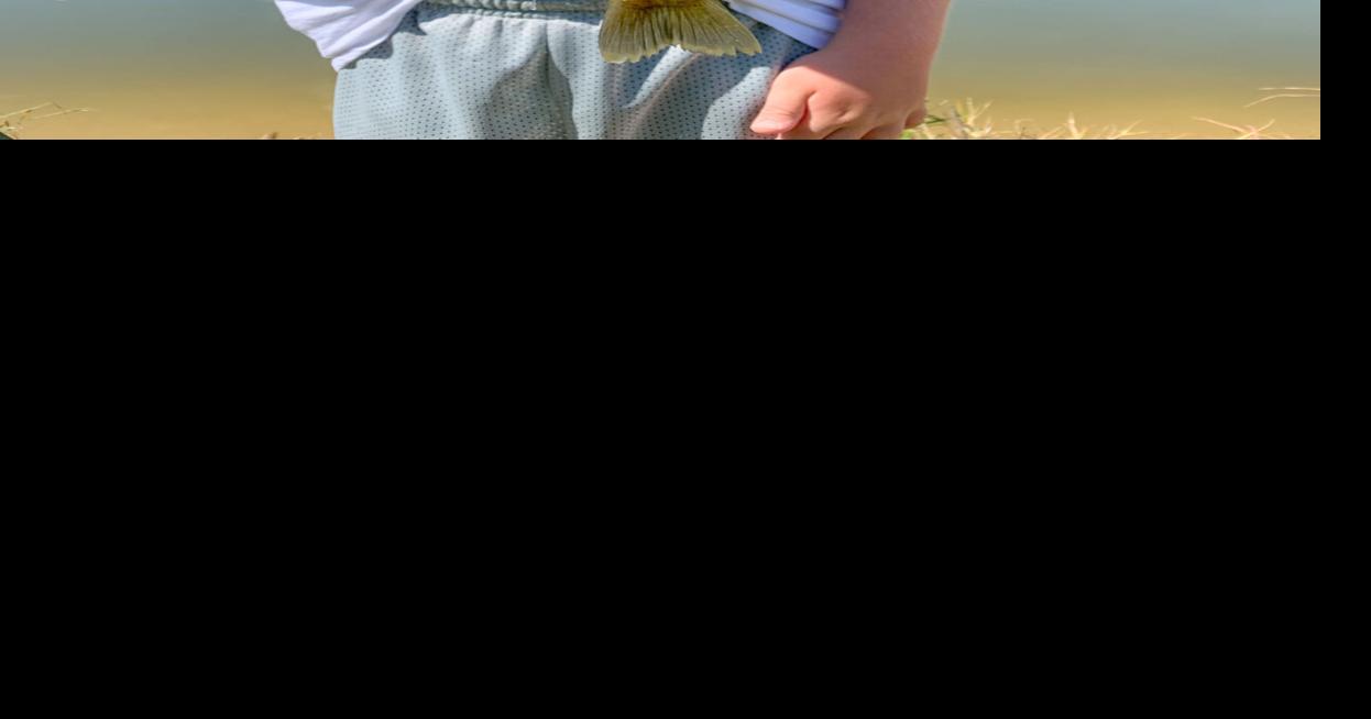 Bluegill, redear beds available on waters large, small Outdoors