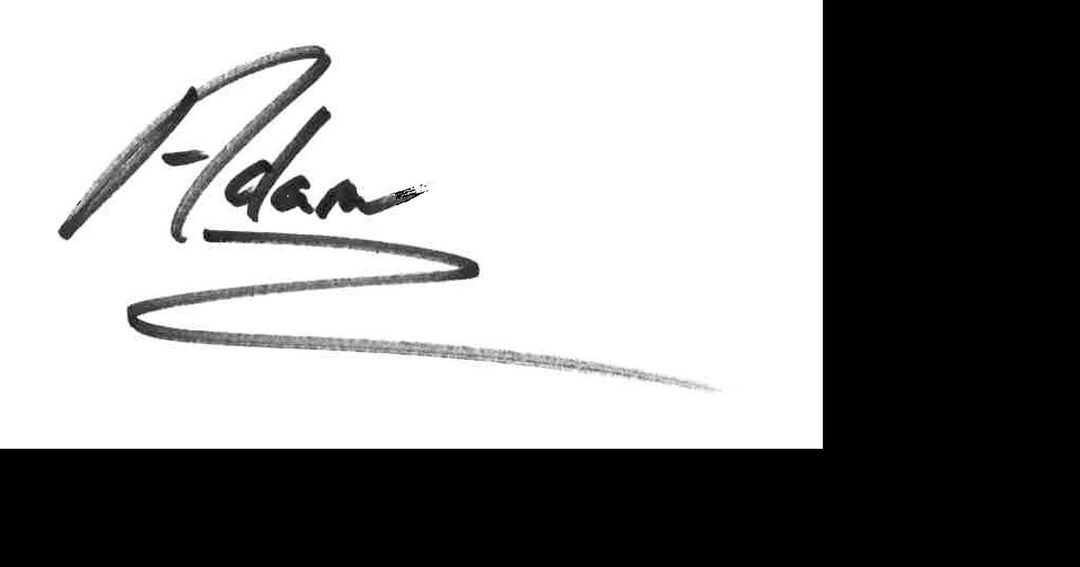 Adam Armour signature | | djournal.com