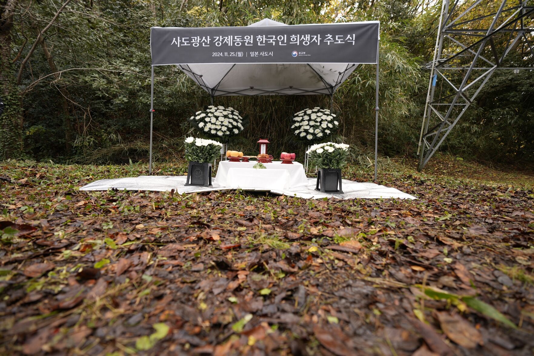 South Korea Holds Memorial For Forced Laborers In Japan After ...