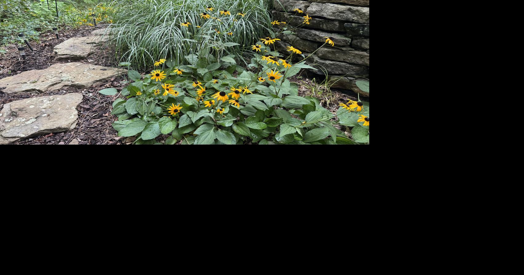 Southern Gardening: Thoughtful planning makes garden slope a major asset - Daily Journal