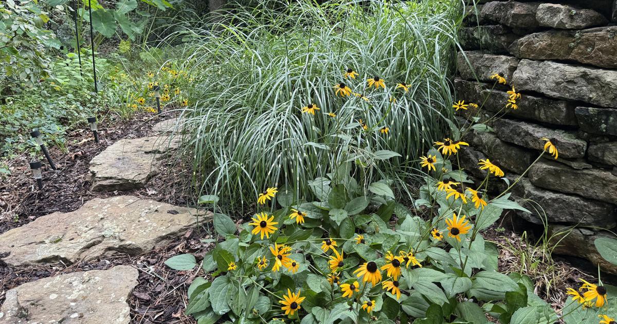 Southern Gardening: Thoughtful planning makes garden slope a major asset - Daily Journal