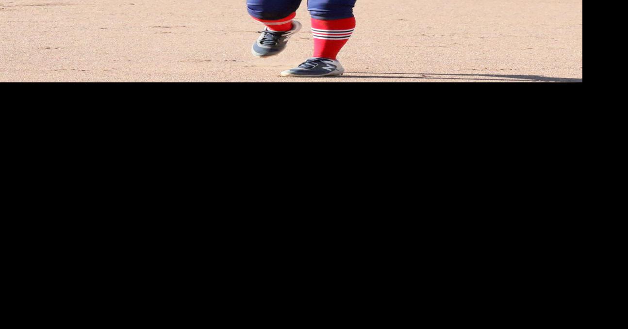 Lady Tigers fall to Lady Wolverines in extra inning | Sports | djournal.com