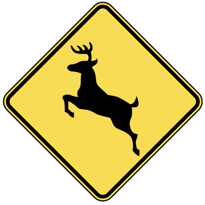 Deer Archery Season Is Open Sports Djournal Com
