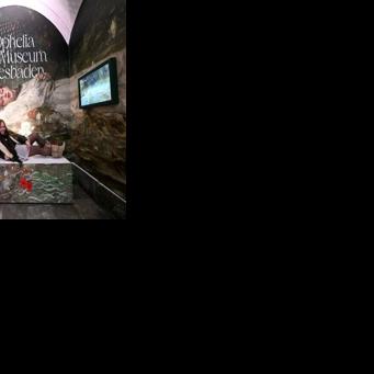 Ready for it? Swifties swarm German museum to see Ophelia painting