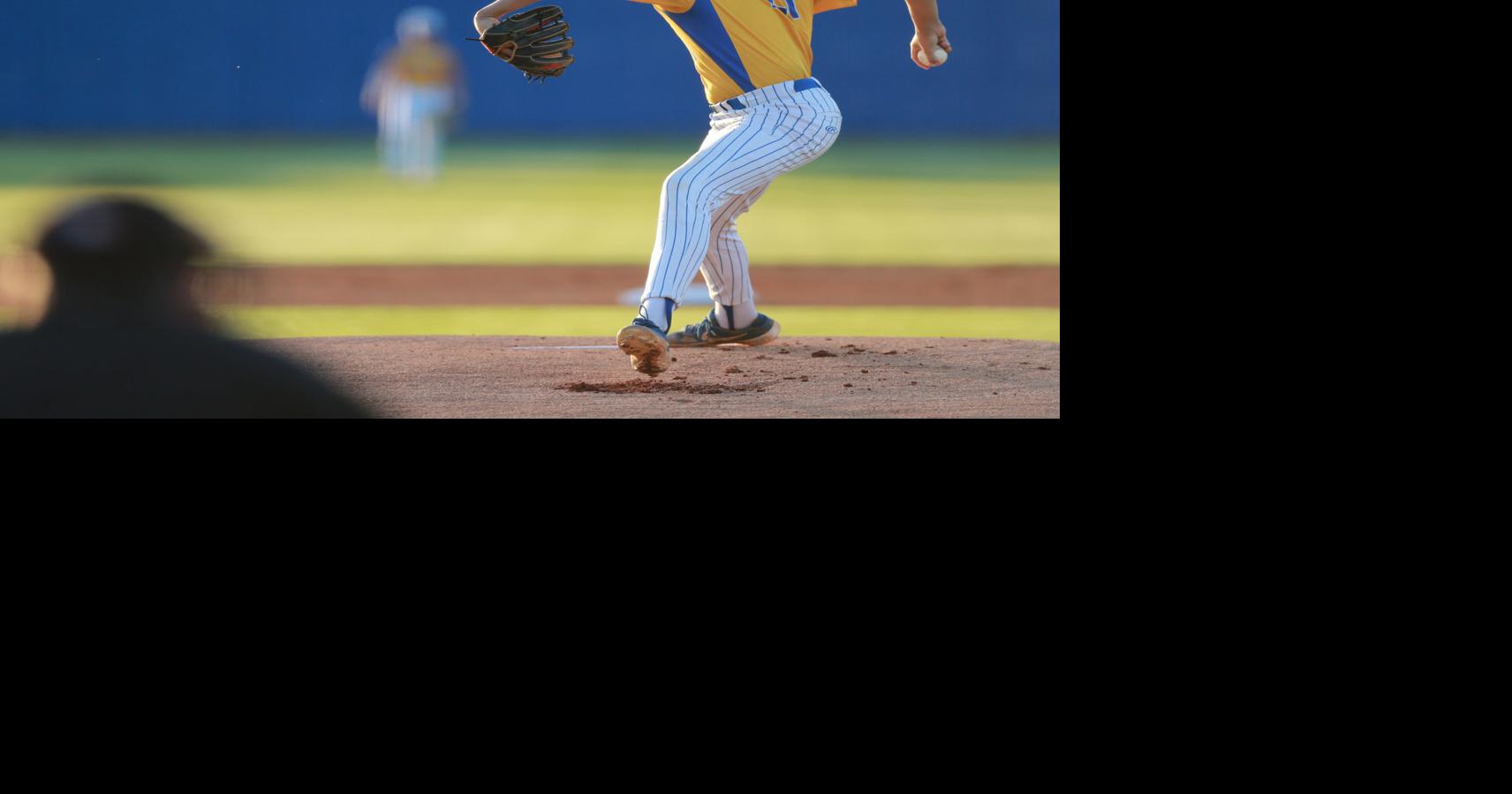 Daily Journal Preseason Baseball Rankings High school Sports