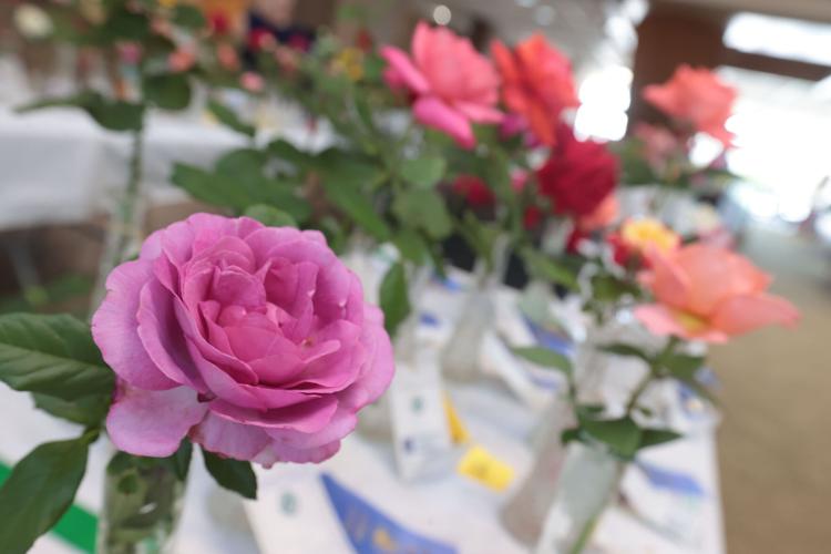 djr-2024-05-10-news-rose-show-twp3