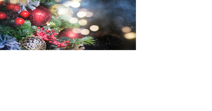 BILL CRAWFORD — Pray the light of Christmas can dim mean rhetoric - Vimarsana News