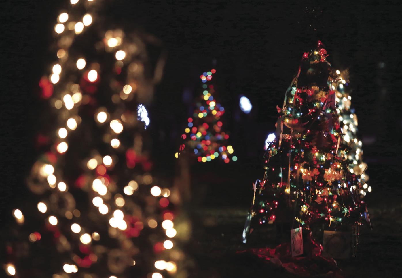 Christmas In The Park 2022 Brazil Indiana Tupelo Parks And Rec, Tupelo-Together Host Christmas Tree Festival In  Ballard Park | News | Djournal.com