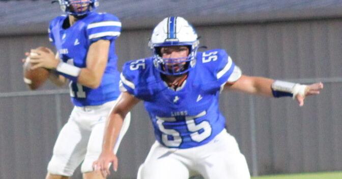 Hamilton come up short against Noxapater