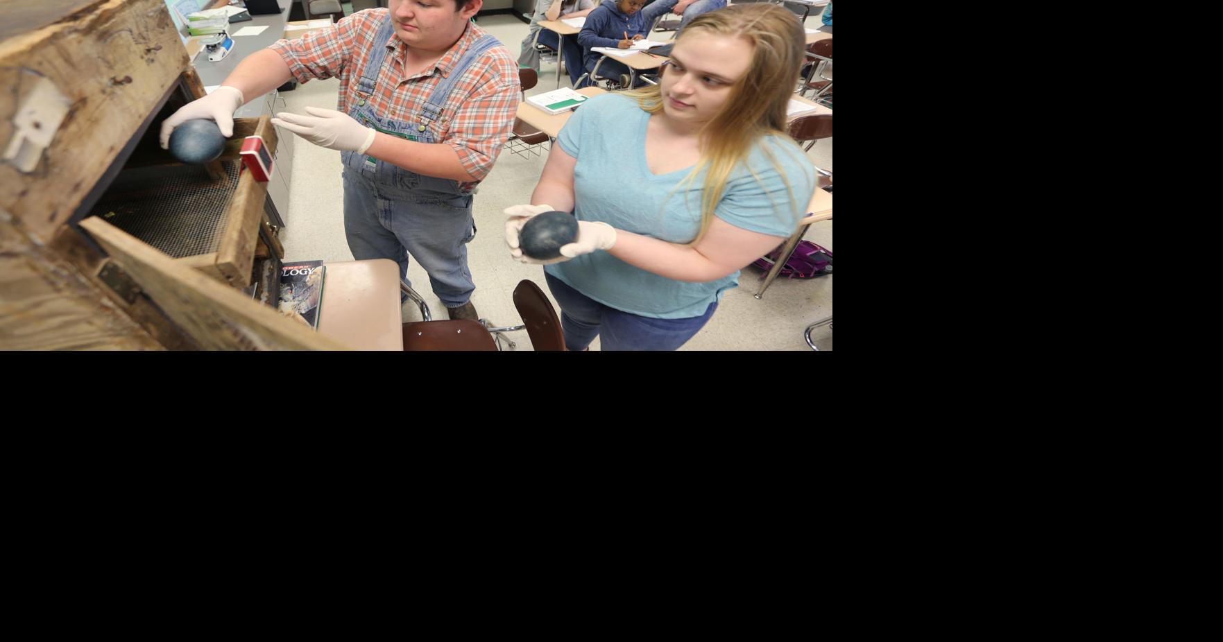 East Union class raises Emu eggs | Education | djournal.com