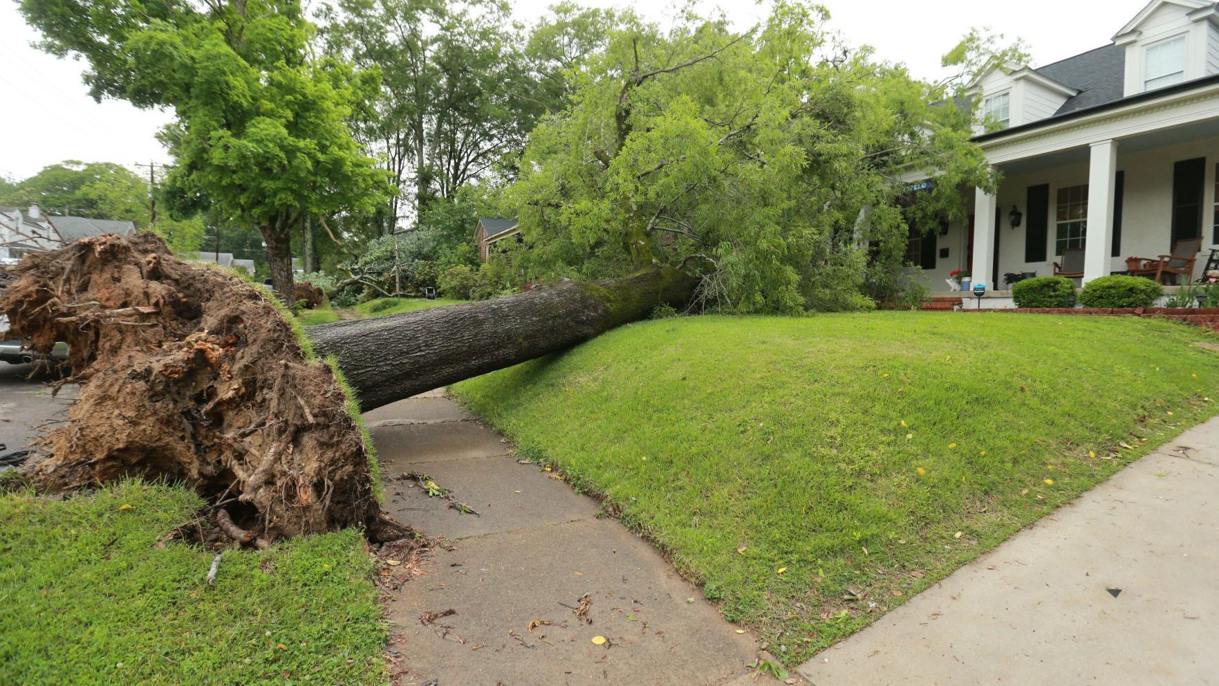 Tornado leaves path of destruction - Vimarsana News