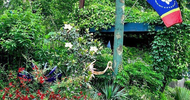 FELDER RUSHING: Time to get a grip on out of control cottage garden ...