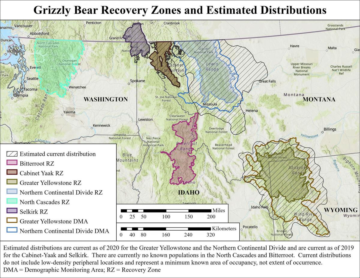 Despite Idaho's petition, grizzly bears remain on Endangered Species List  in the lower 48 states