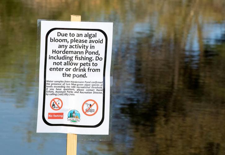 Officials warn: Stay away from Hordemann Pond