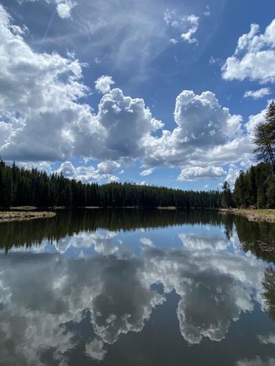 Moose Creek reflection