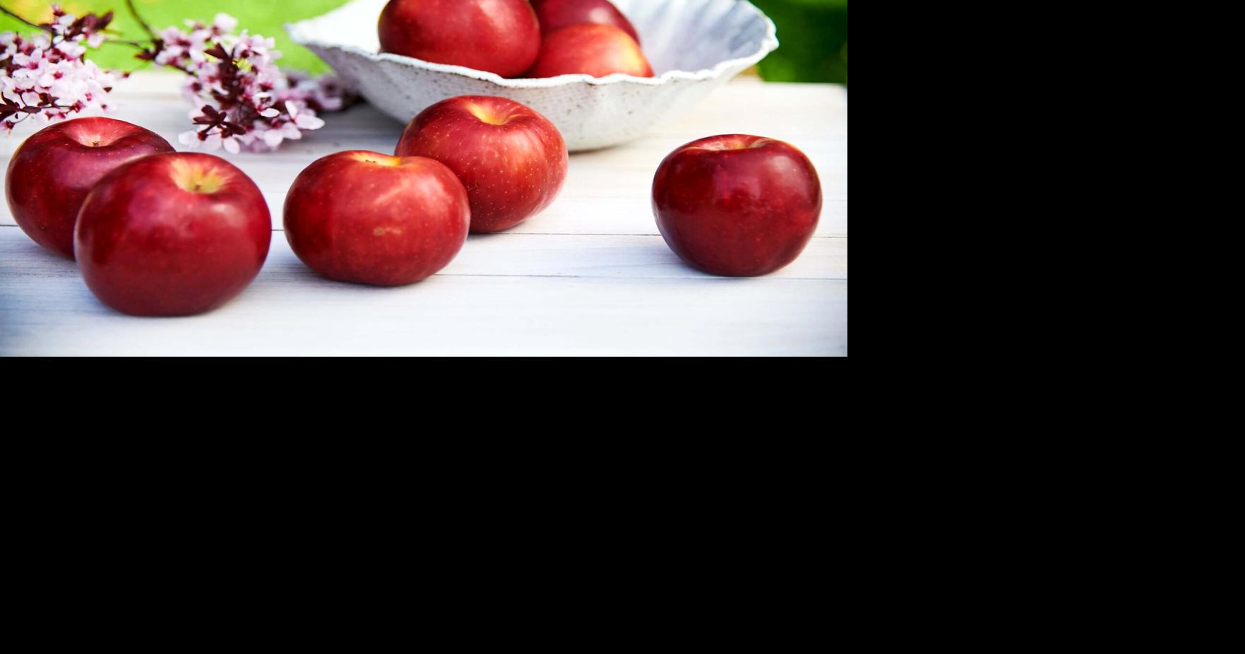 2021 crop of WSU's Cosmic Crisp apples will hit stores early - Fruit  Growers News
