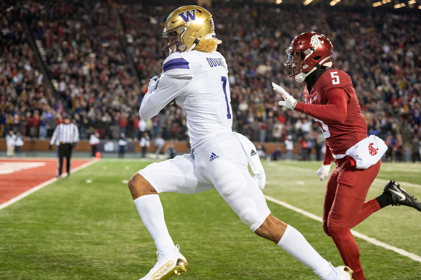 WSU heavy underdog in Apple Cup | Sports | dnews.com