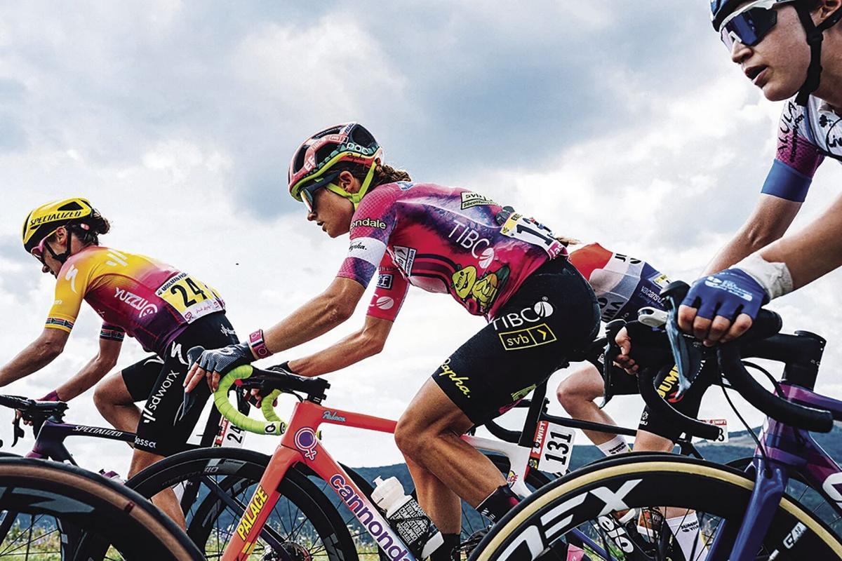 Ewers near top 10 in Tour de France standings | Sports | dnews.com