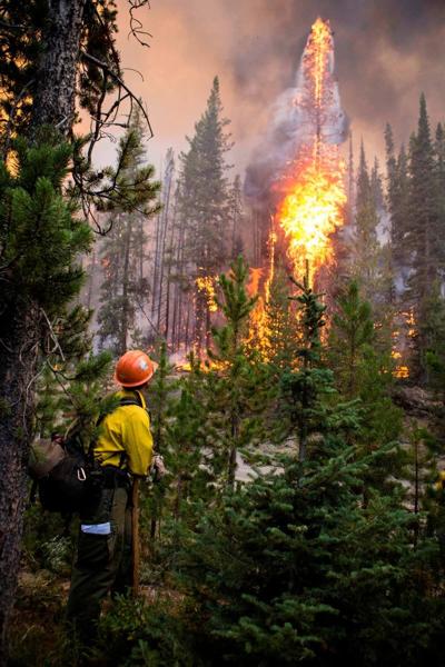 Little’s proposed budget includes money to battle wildfires