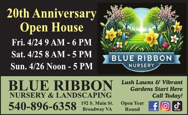 BLUE RIBBON NURSERY