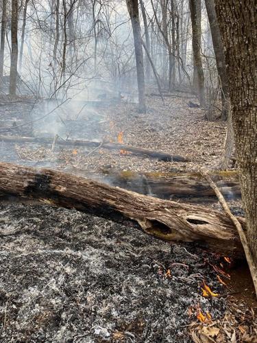 Crews Contain Wildfire At Shenandoah National Park | News | dnronline.com