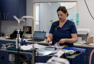 Rockingham Harrisonburg SPCA Opens New Veterinary Clinic