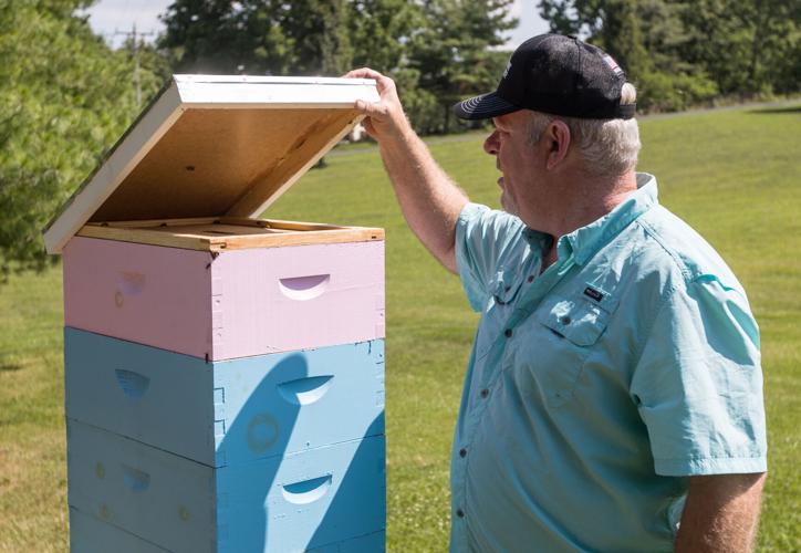 Harrisonburg Veteran Wins Tractor Supply Grant To Expand Apiary News