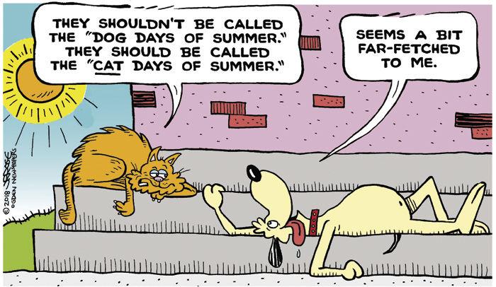 Wallpaper Dog Days Of Summer Cartoon Dnronline Com Desktop Wallpaper