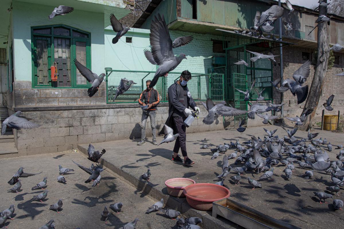APTOPIX India Kashmir Virus Outbreak