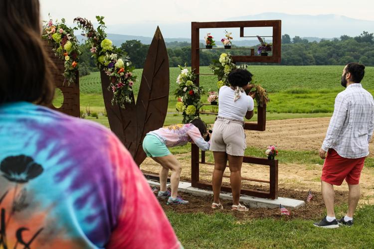 Harmony Harvest Farm To Hold Fourth Annual Flower Fair News