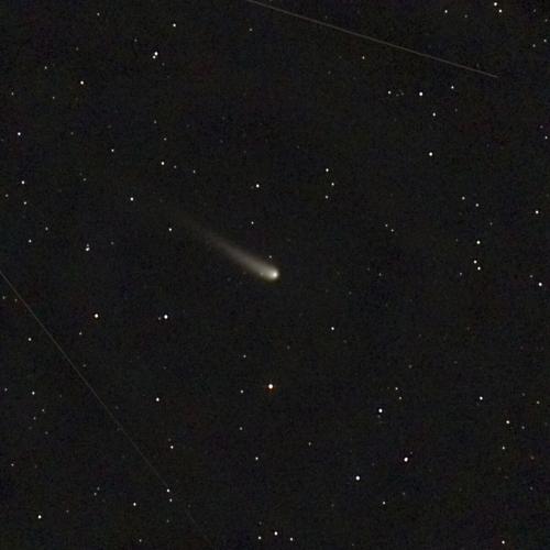 A rare comet brightens the night skies in October National