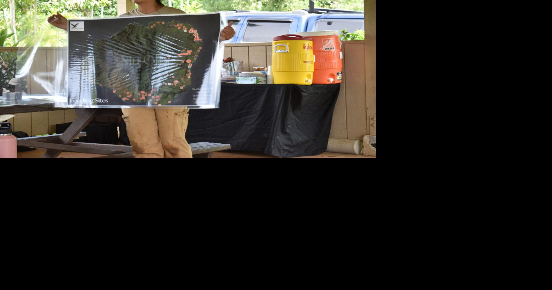 Coconut Rhinoceros Beetle Mapping Project Takes Root in Kaua‘i: A Potential Model for Hawai‘i