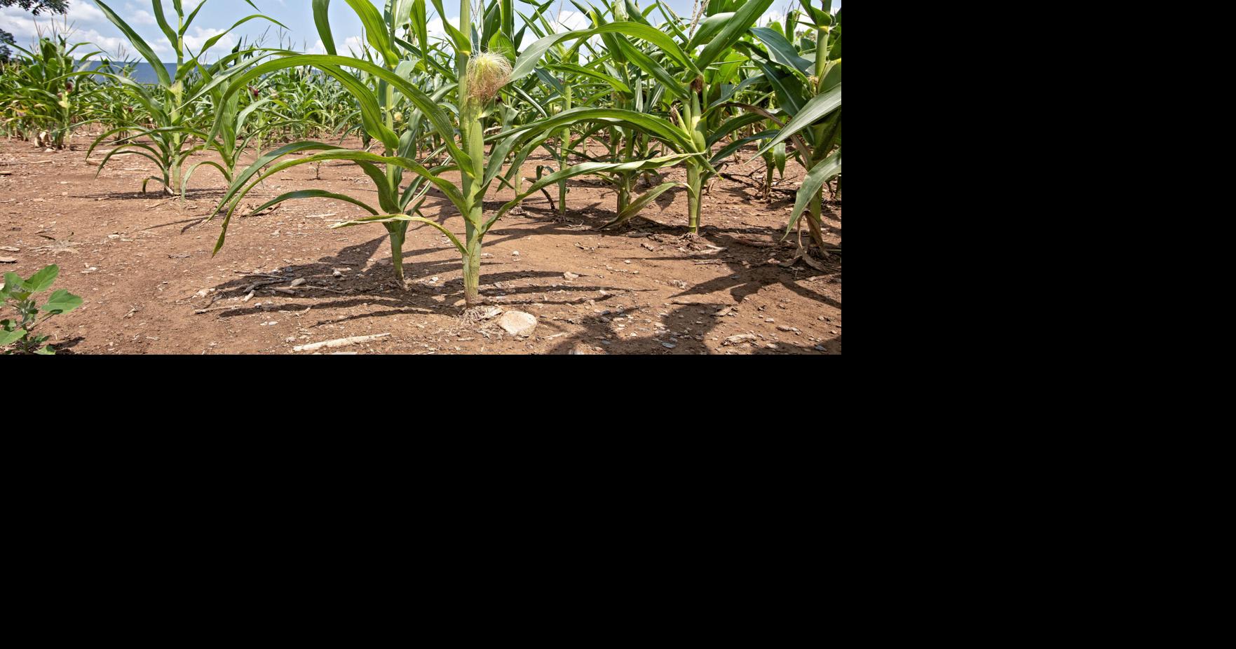 Harrisonburg City Council rescinds drought warning Harrisonburg