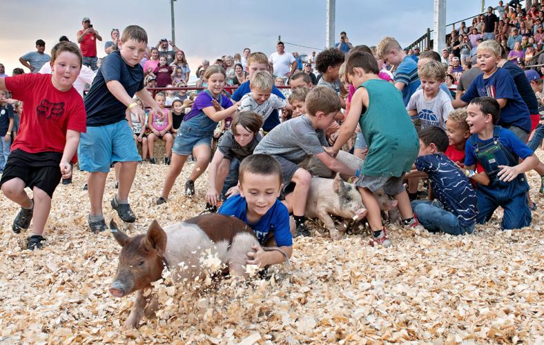 Shenandoah County Fair pig scramble draws record turnout — and a 