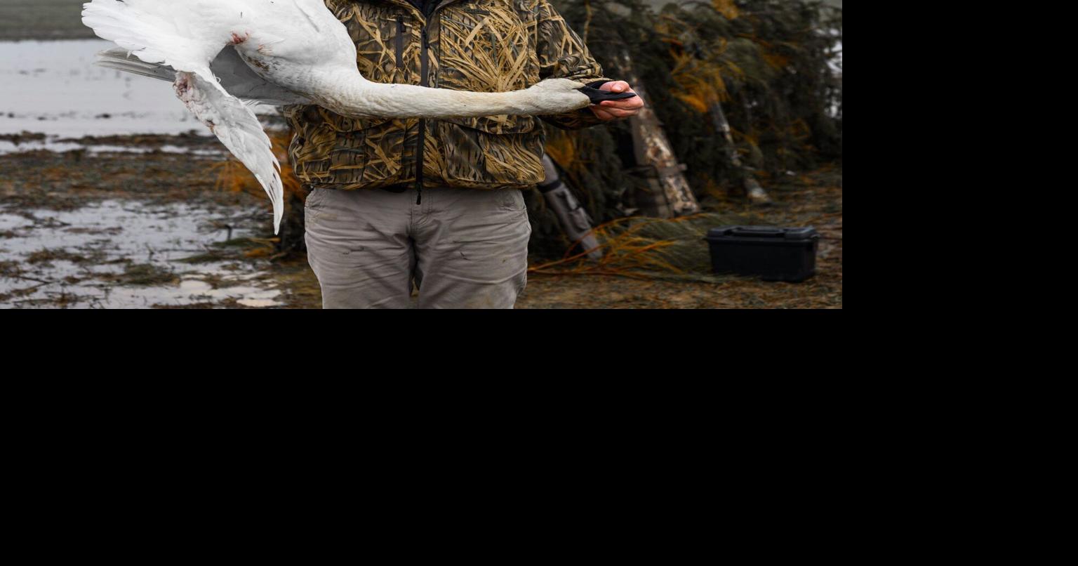 Cyrus Baird: If you enjoy Virginia’s wildlife, thank a hunter or angler