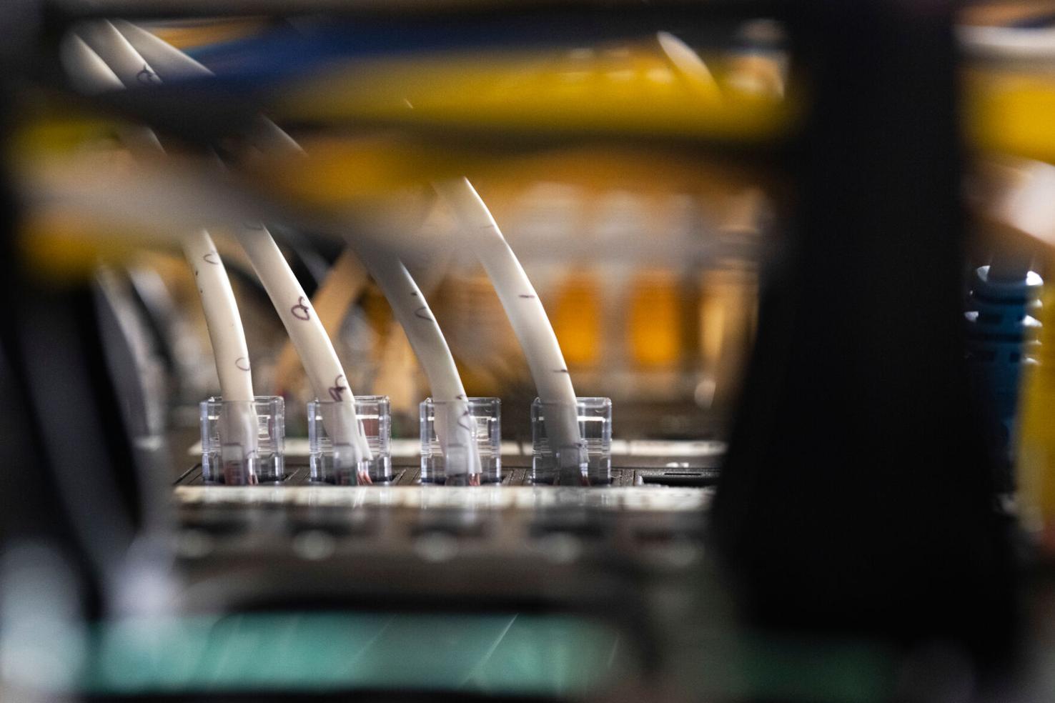 What to know about the AI-detected security bug impacting wide swaths ...