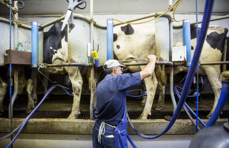 Dairy's Impact On Area Economy Shifting Rockingham County