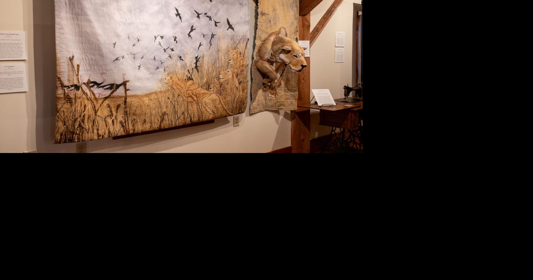 Into the wilds: Virginia Quilt Museum features four new exhibits