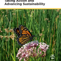 Harrisonburg Pollinator Programs Featured Nationally | Dnronline ...