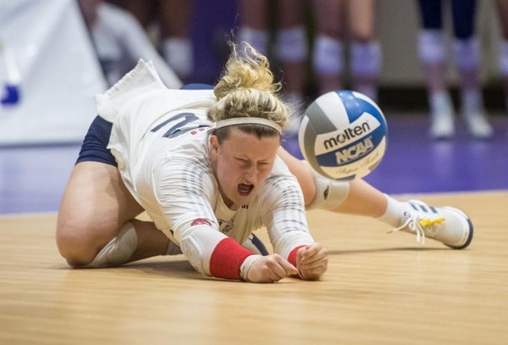 Volleyball JMU vs. South Alabama Photo