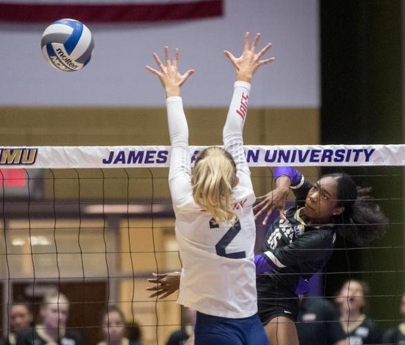 Volleyball JMU vs. South Alabama Photo