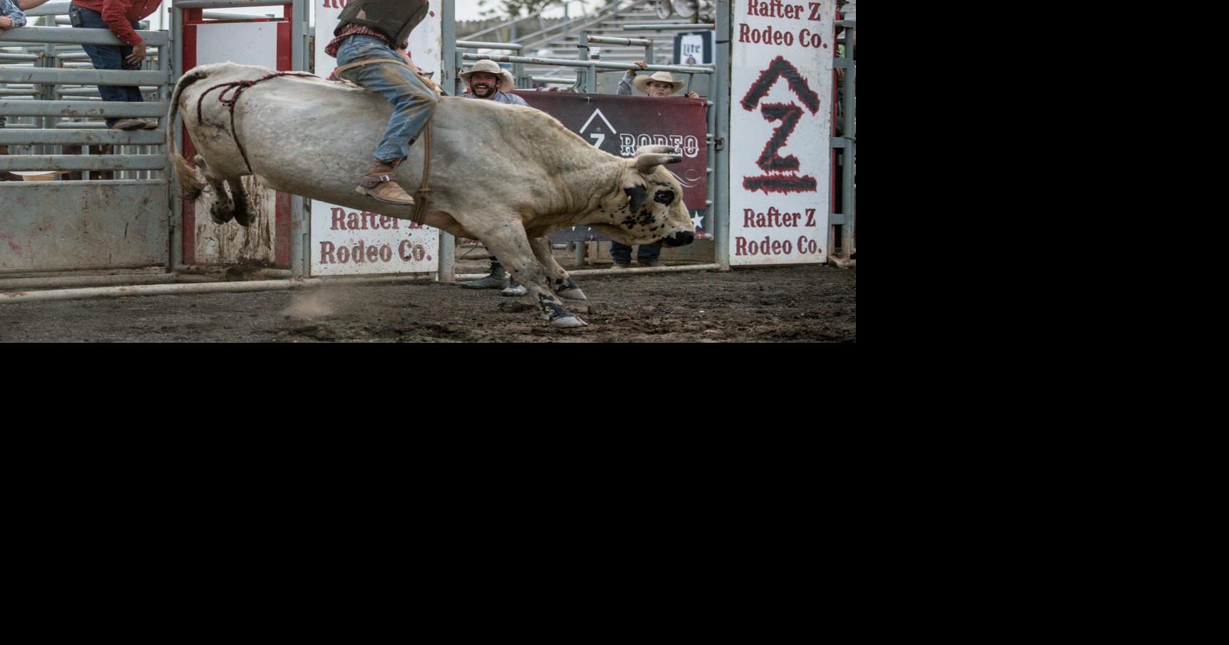 Rodeo Hits Rockingham County Fair | Dnronline | dnronline.com