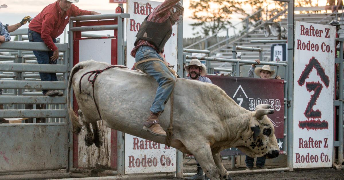 Rockton Rodeo Rodeo Hits Rockingham County Fair | Dnronline | dnronline.com