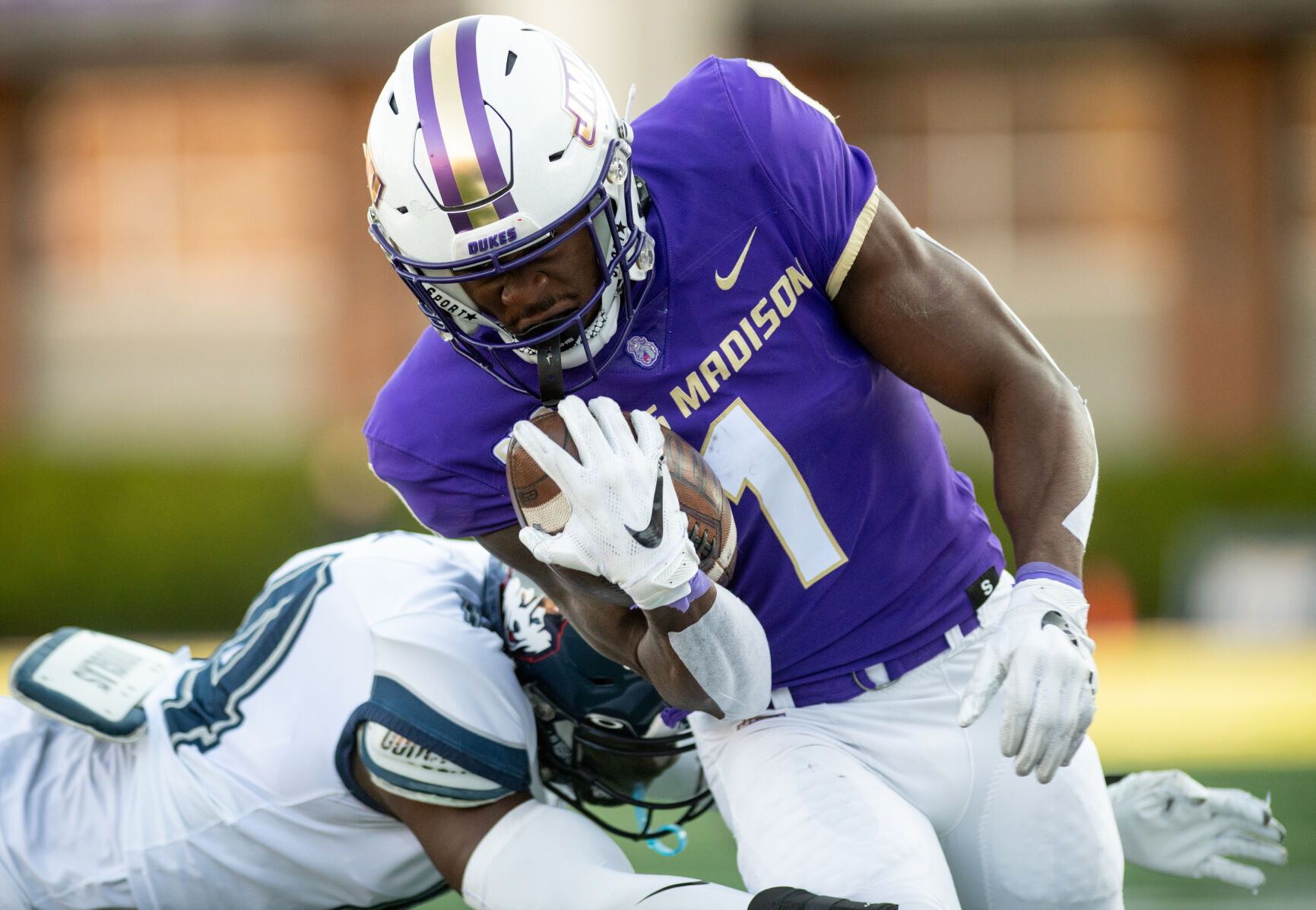 Wide Receivers Thrive In 2023 For JMU | Sports | dnronline.com