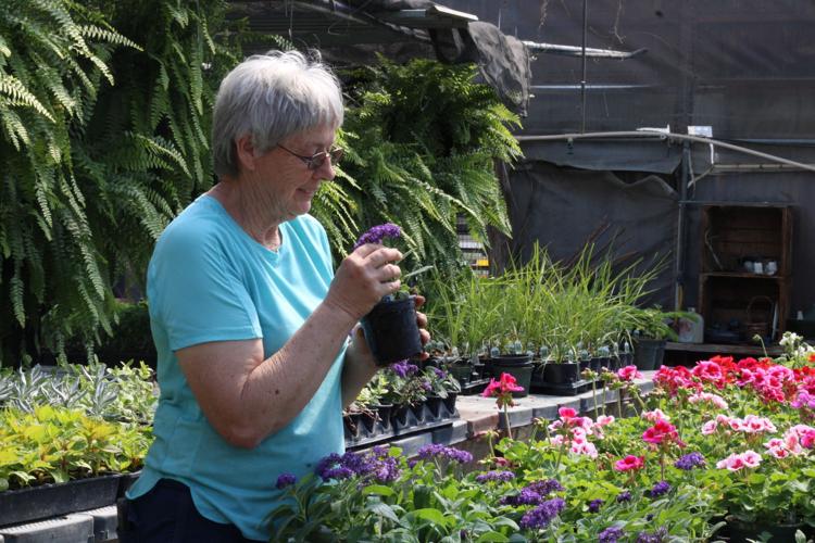 Hess Greenhouse Has Their Nose On What's Good For Spring eEdition