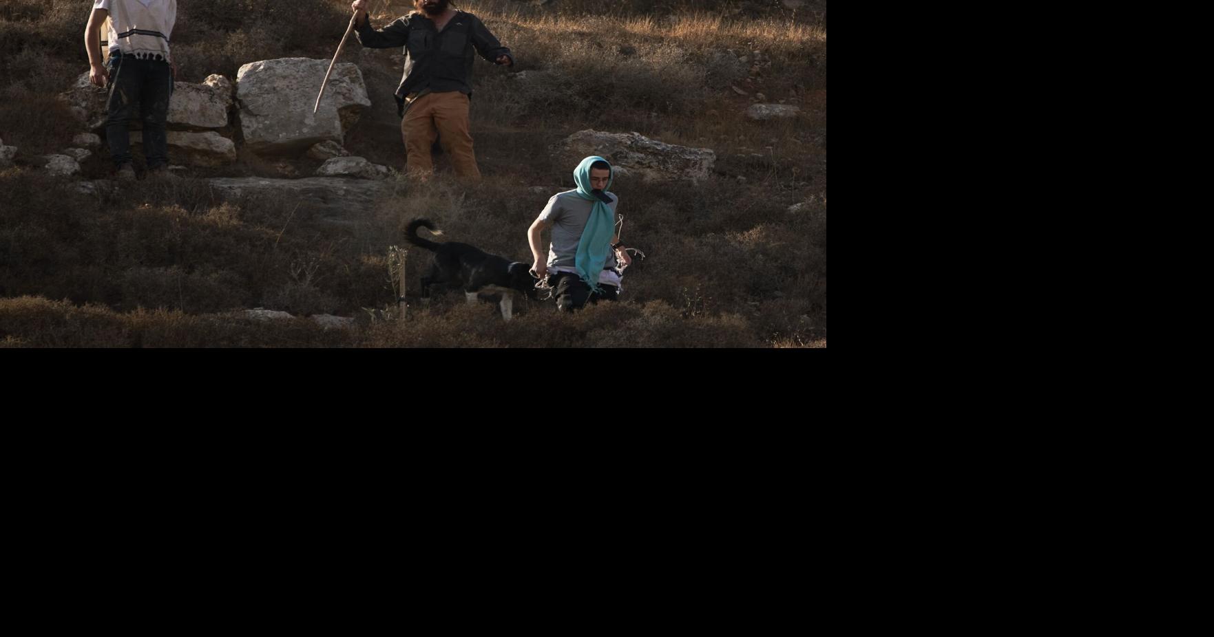 Photos capture West Bank olive harvest as villagers fear more violence by Israeli settlers