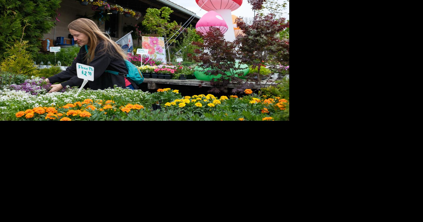 Broadway garden store celebrates 20th anniversary